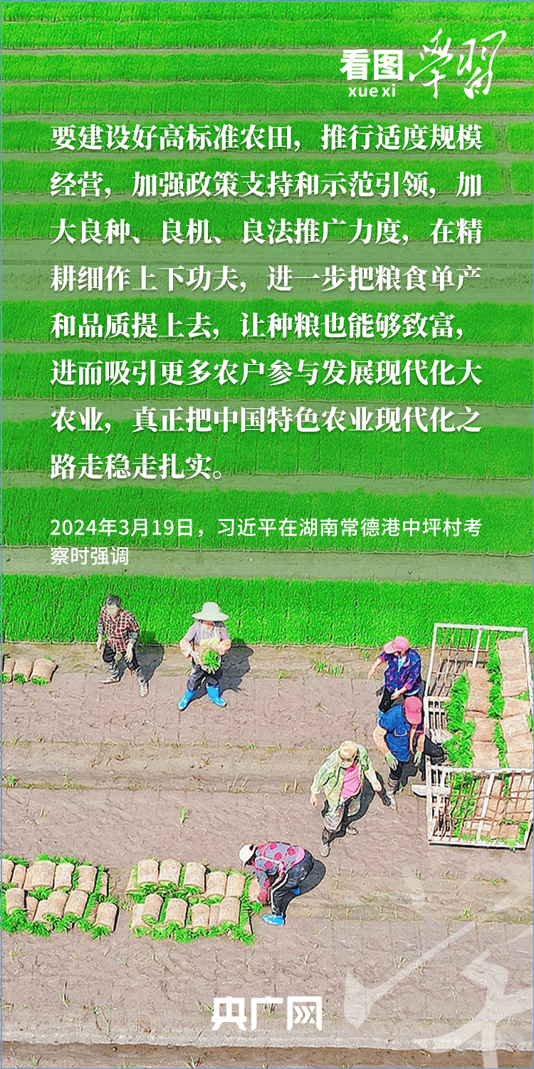 看图学习丨“三夏”时节丰收忙 总书记强调粮食生产年年要抓紧