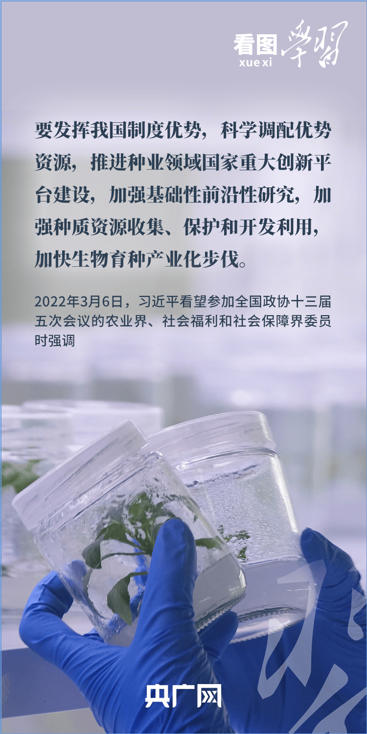 看图学习丨“三夏”时节丰收忙 总书记强调粮食生产年年要抓紧