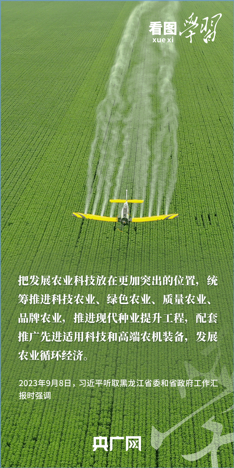 看图学习丨“三夏”时节丰收忙 总书记强调粮食生产年年要抓紧
