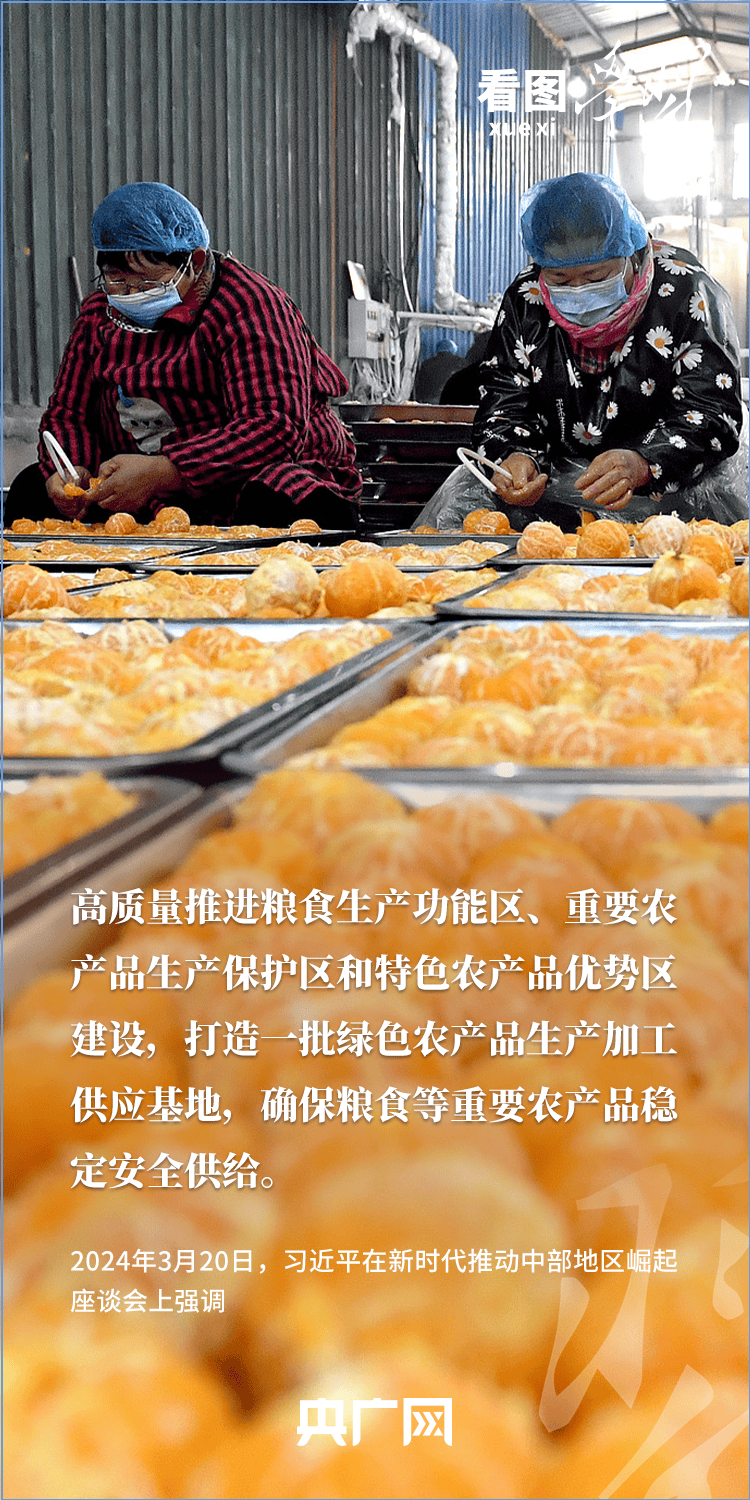 看图学习丨“三夏”时节丰收忙 总书记强调粮食生产年年要抓紧