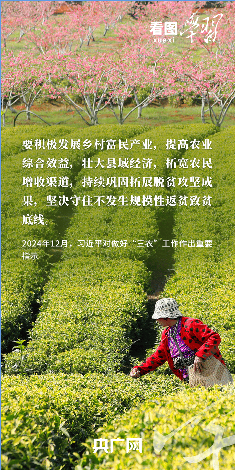 看图学习丨“三夏”时节丰收忙 总书记强调粮食生产年年要抓紧