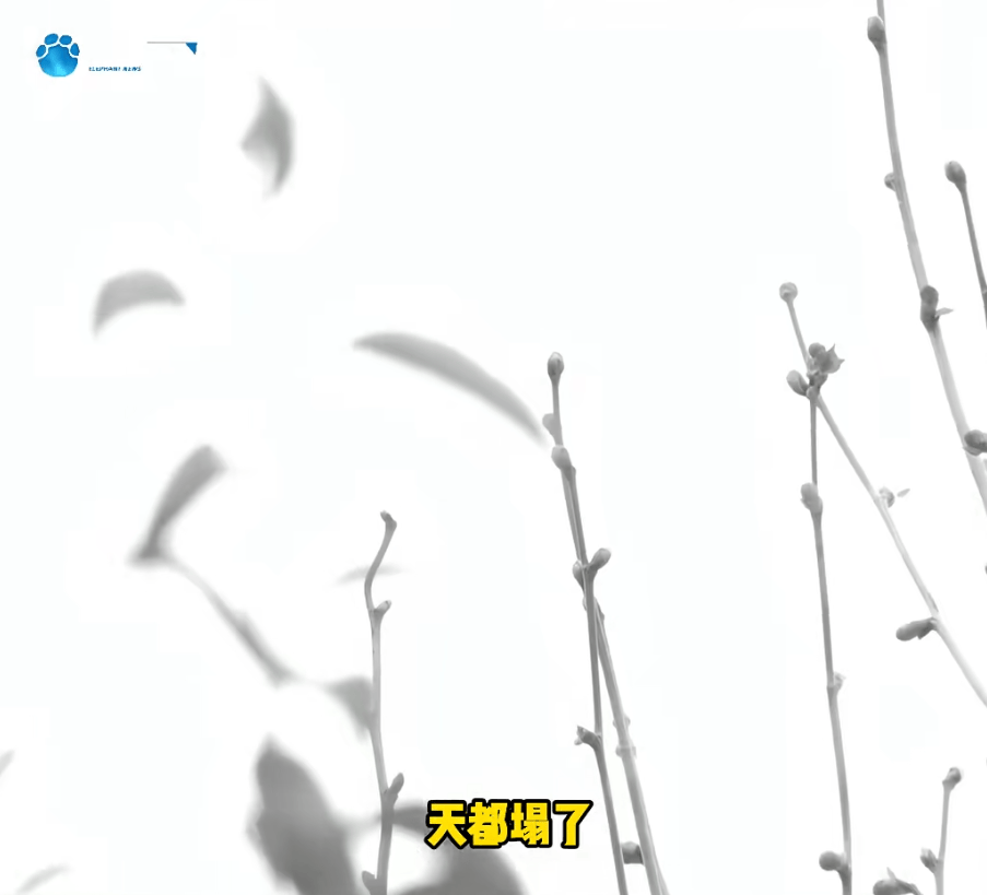 "天塌了,我一生都毁了", 男子称养了20年才发现儿子非亲生!前妻坚决否认