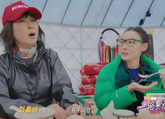 考古|何赛飞录节目把刘嘉玲刘晓庆等嘉宾得罪完,她是情商低还是真性情?