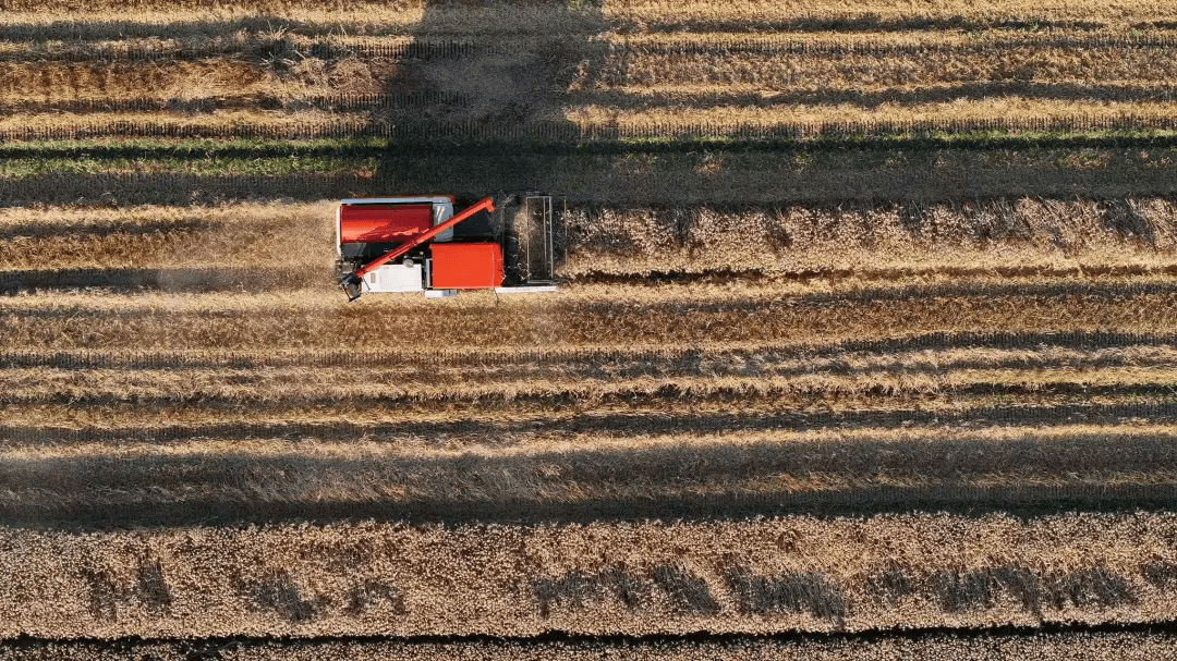 12时3分,临海正式进入……