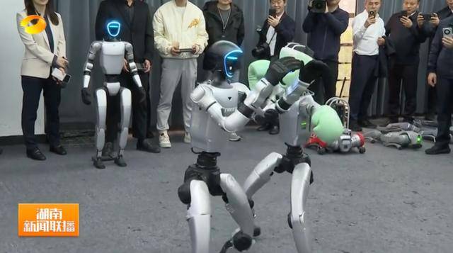 湖南省省长、浙江省省长,一同观看机器人表演