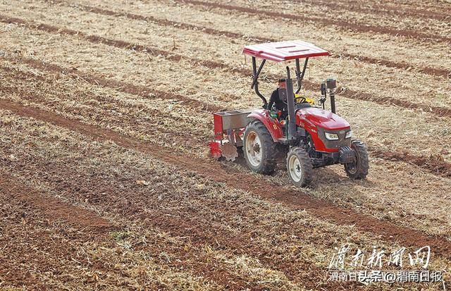抢抓农时 应种尽种