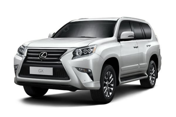 GX(gx什么意思)